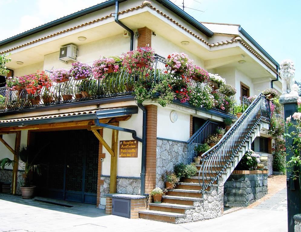 Agriturismo Dolcetna SantʼAlfio エクステリア 写真
